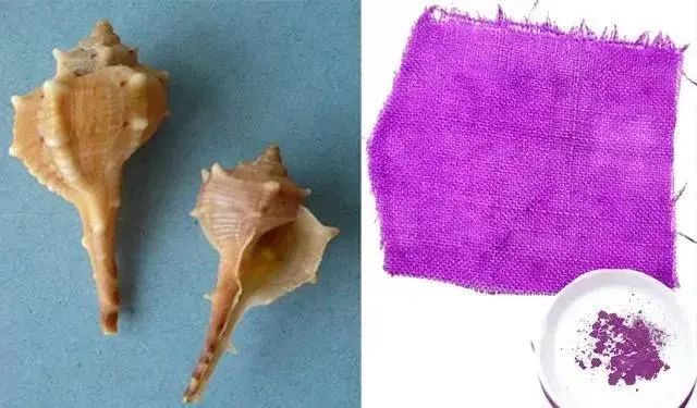 选择就像五彩斑斓的颜料,五彩斑斓的黑颜料