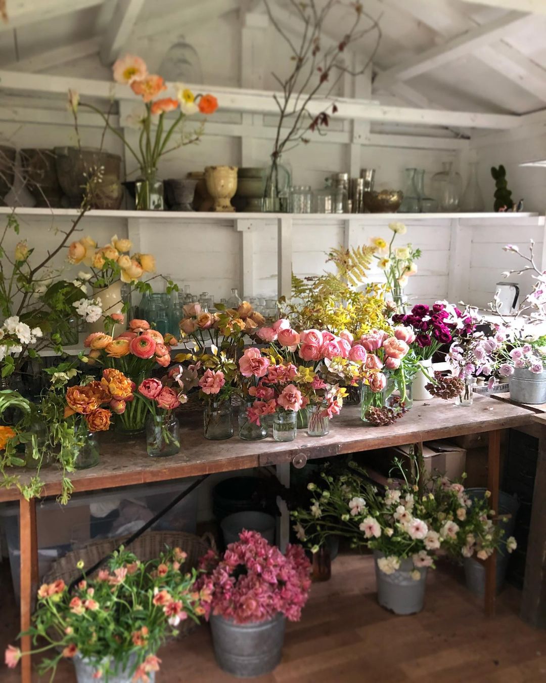 花艺教程花材打理知识,花艺教程常用花材及叶材有哪些