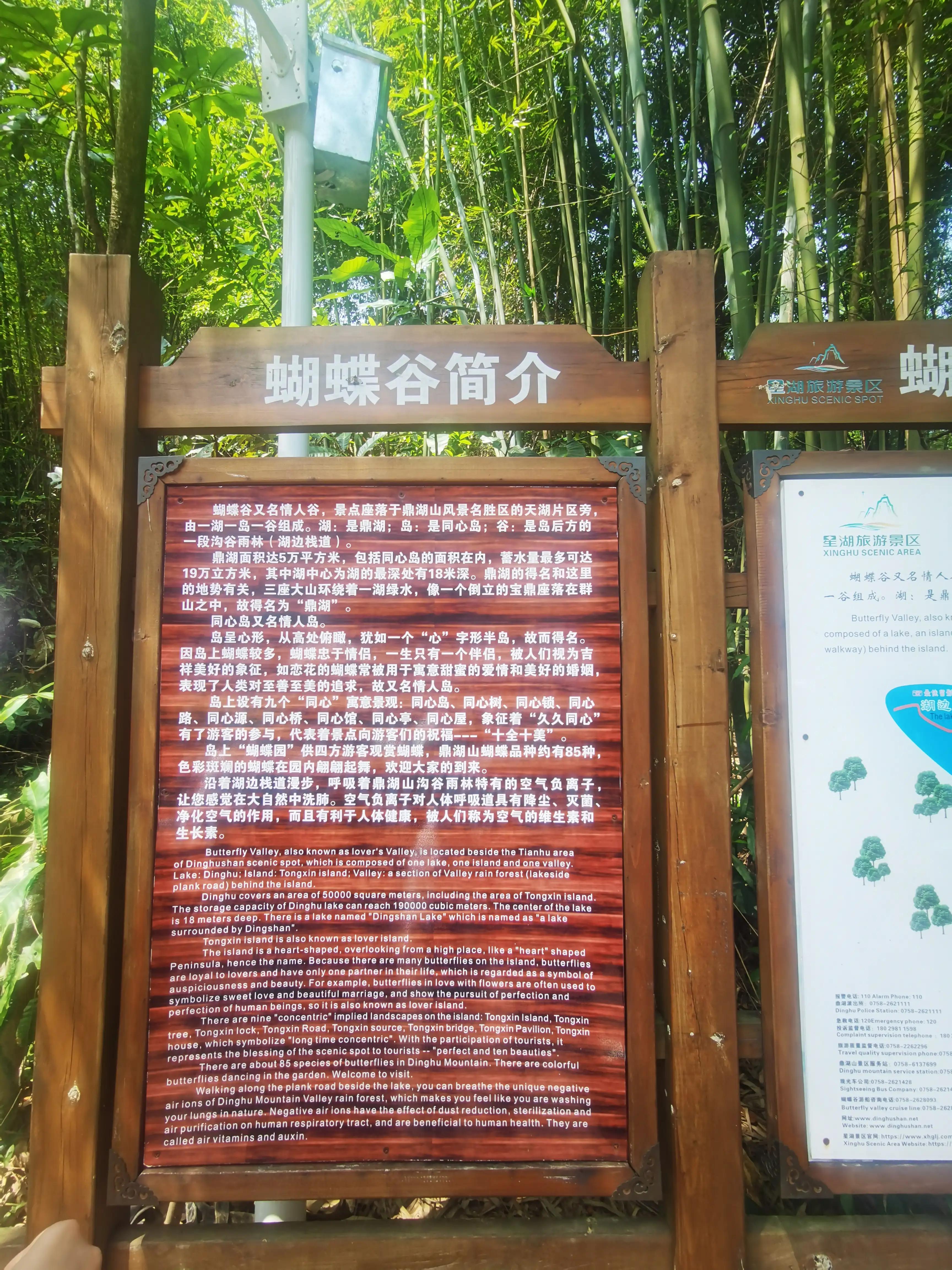 五一推荐去鼎湖山吗,鼎湖五一游攻略