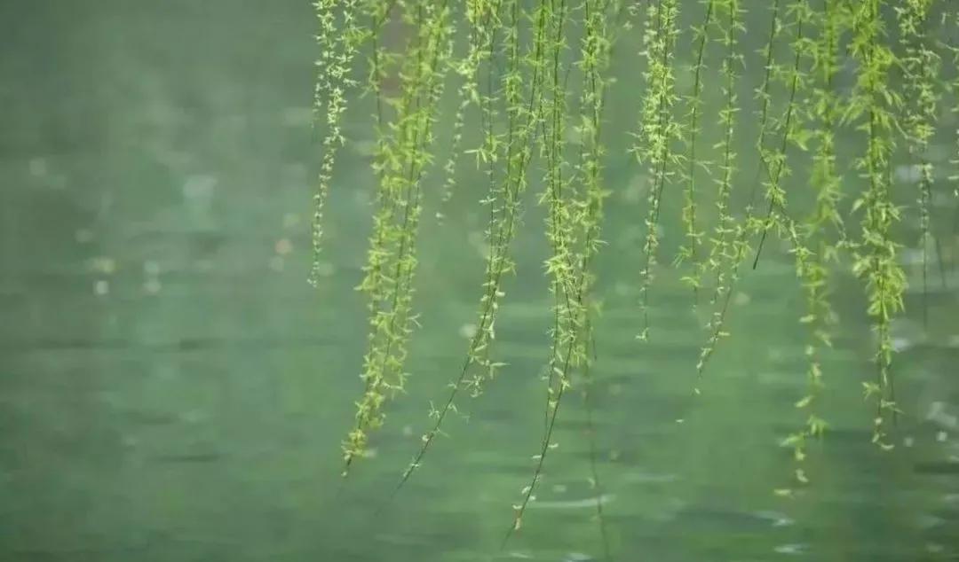 七年级语文上学期期中检测试题,初一月考语文真题试卷含答案