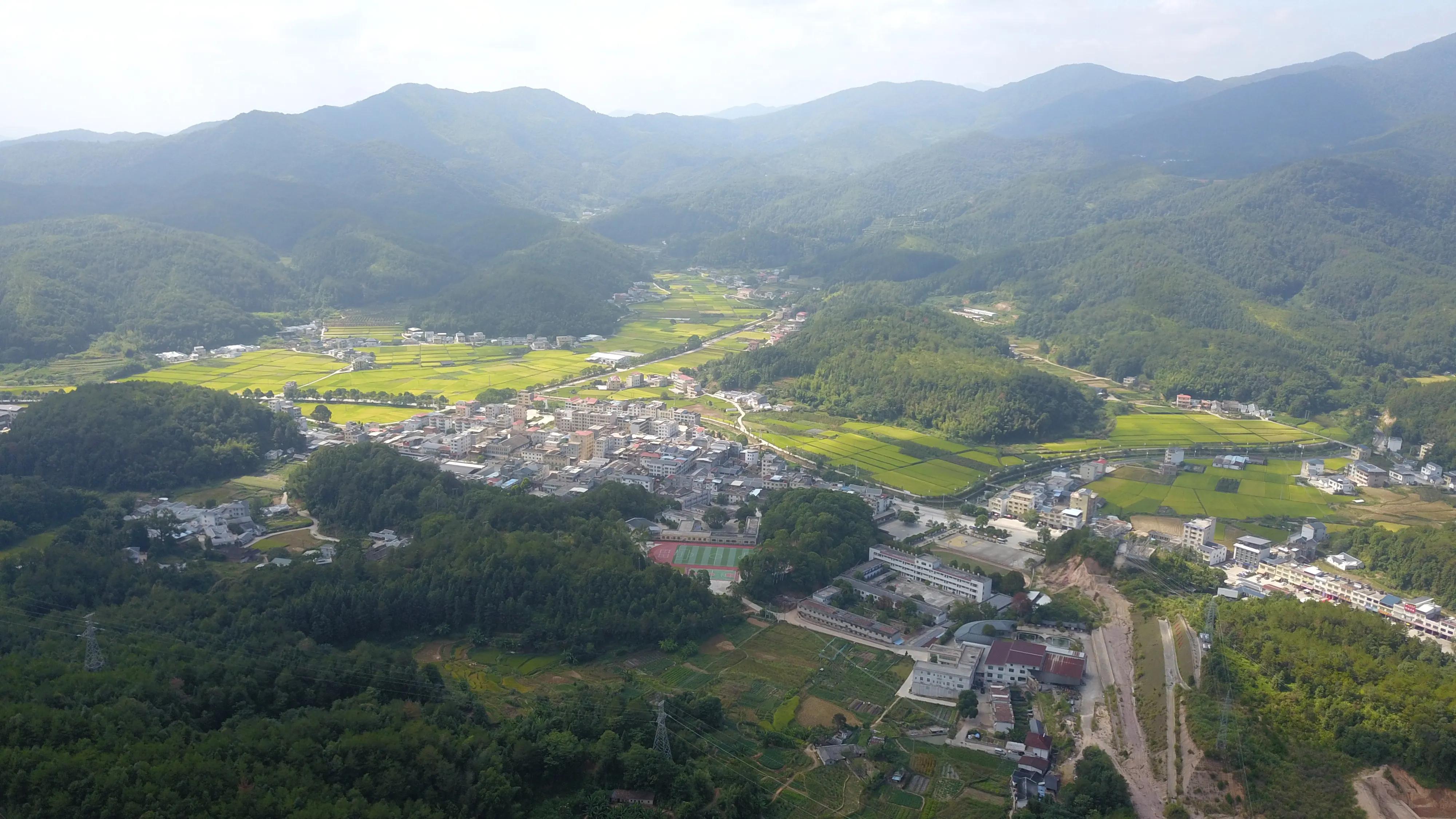 疫情感想的作文,疫情感想