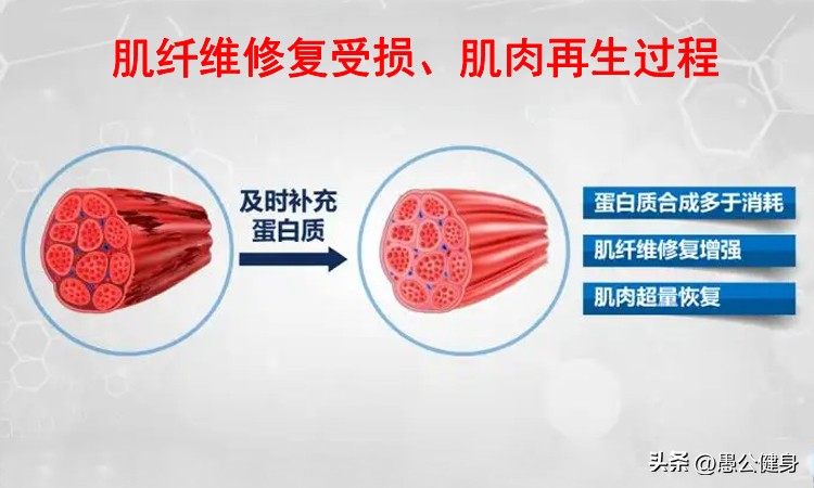 腹肌一次练多久,腹肌多久练一次最合适