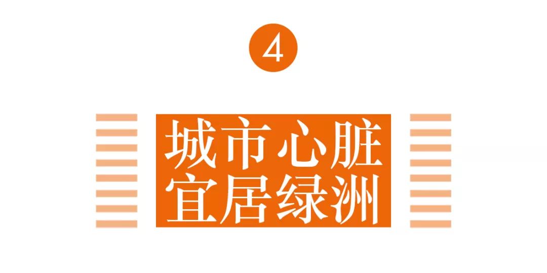 浼︽暒鏋楄偗骞垮満鏄豹瀹呭悧,鏋楄偗骞垮満妤肩洏