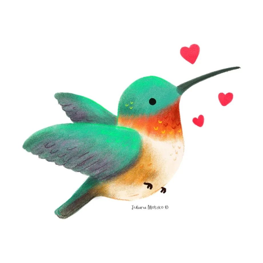 鸟类插画大全,鸟类插画艺术欣赏