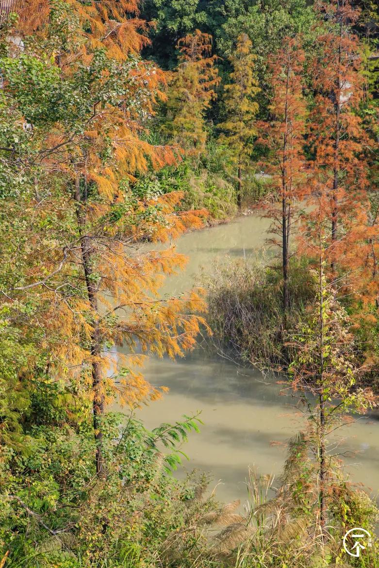 深圳4个绝美海岛,深圳值得游玩的小岛