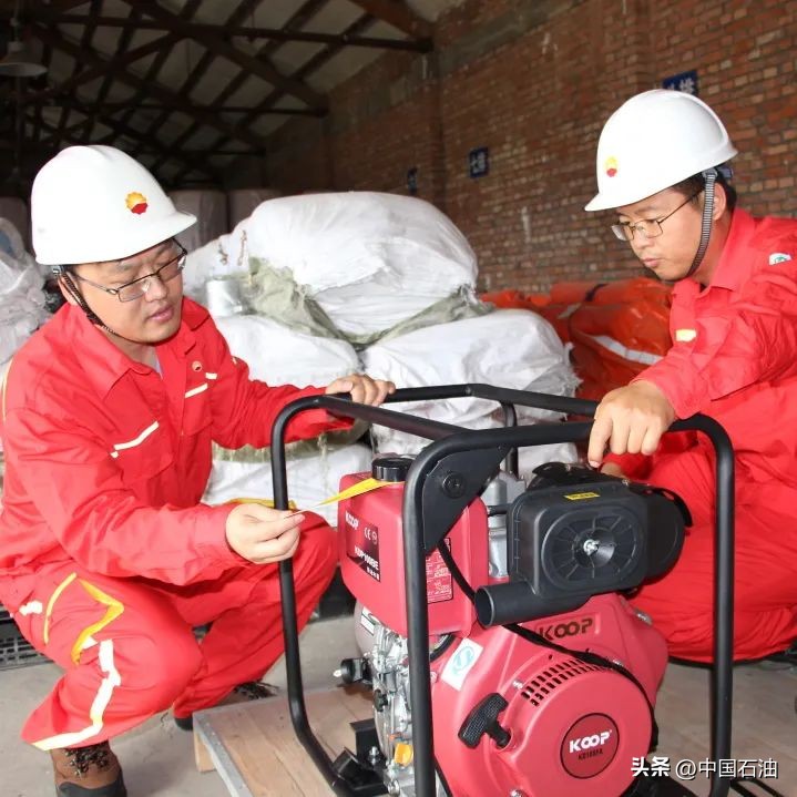 特别策划案例,特别策划系列