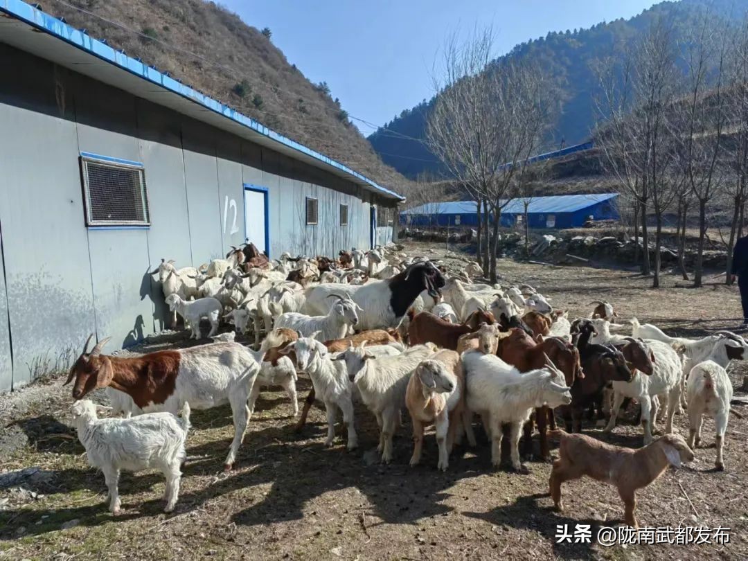 协商议事助力民生,协商议事谋良策凝心聚力