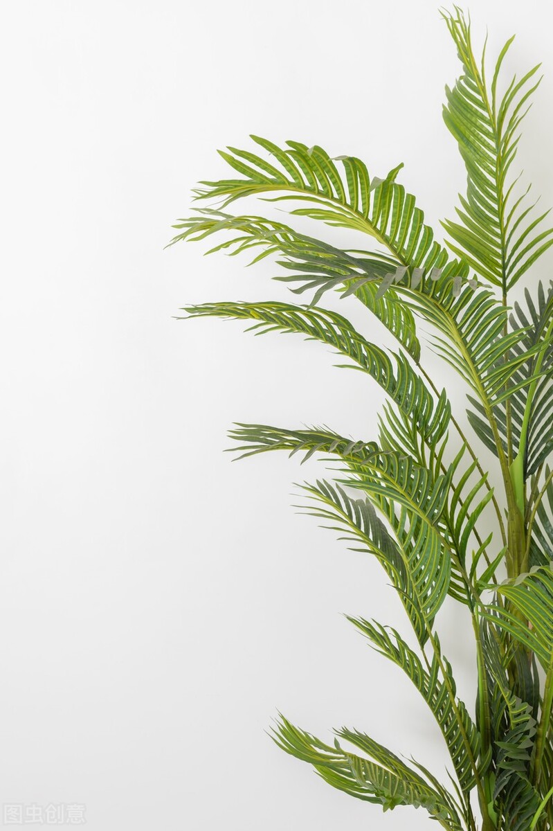 新手开花店怎样进货,新手如何开一家网上花店