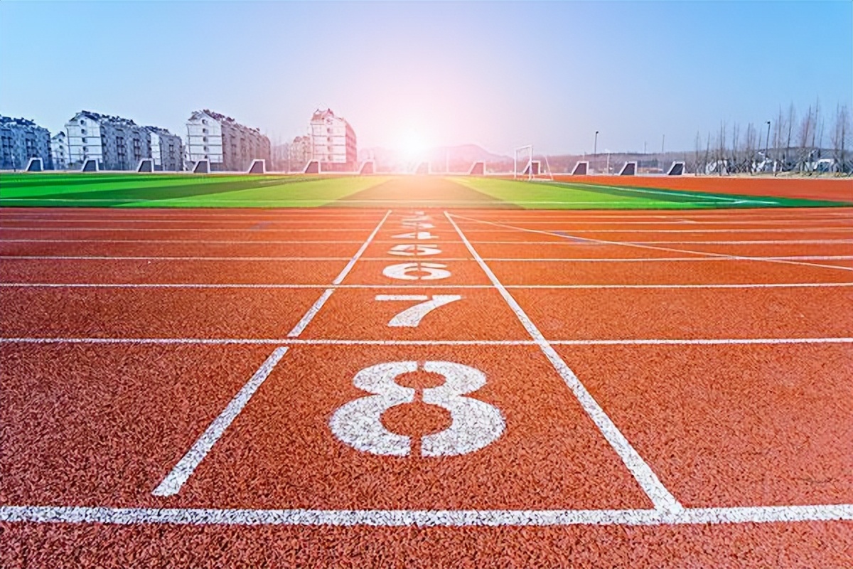 5本体育小说,3本篮球竞技小说