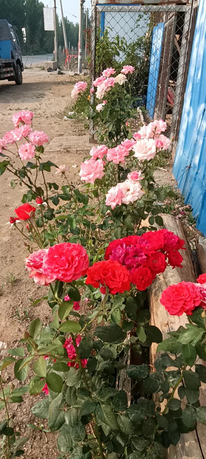 有声书工作室靠什么赚钱,有声书怎样赚钱