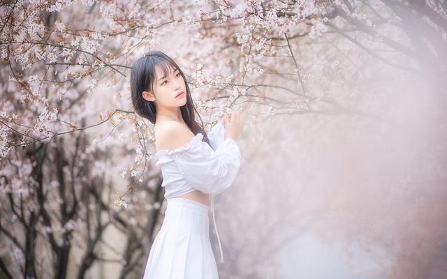 人间至味是清欢作文讲解,人间有味是清欢写人作文