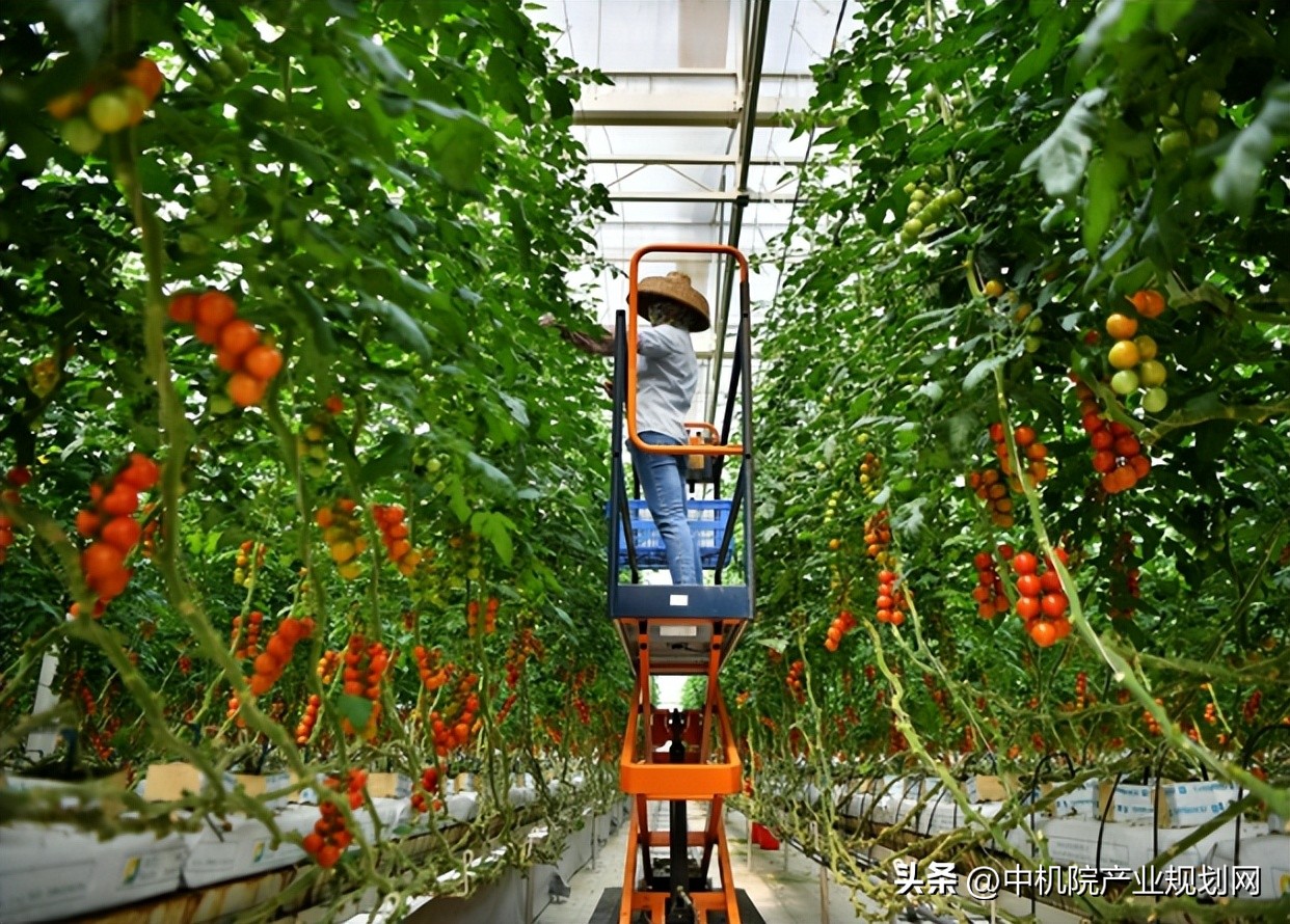 广东现代农业产业园条件,广东省级现代农业产业园