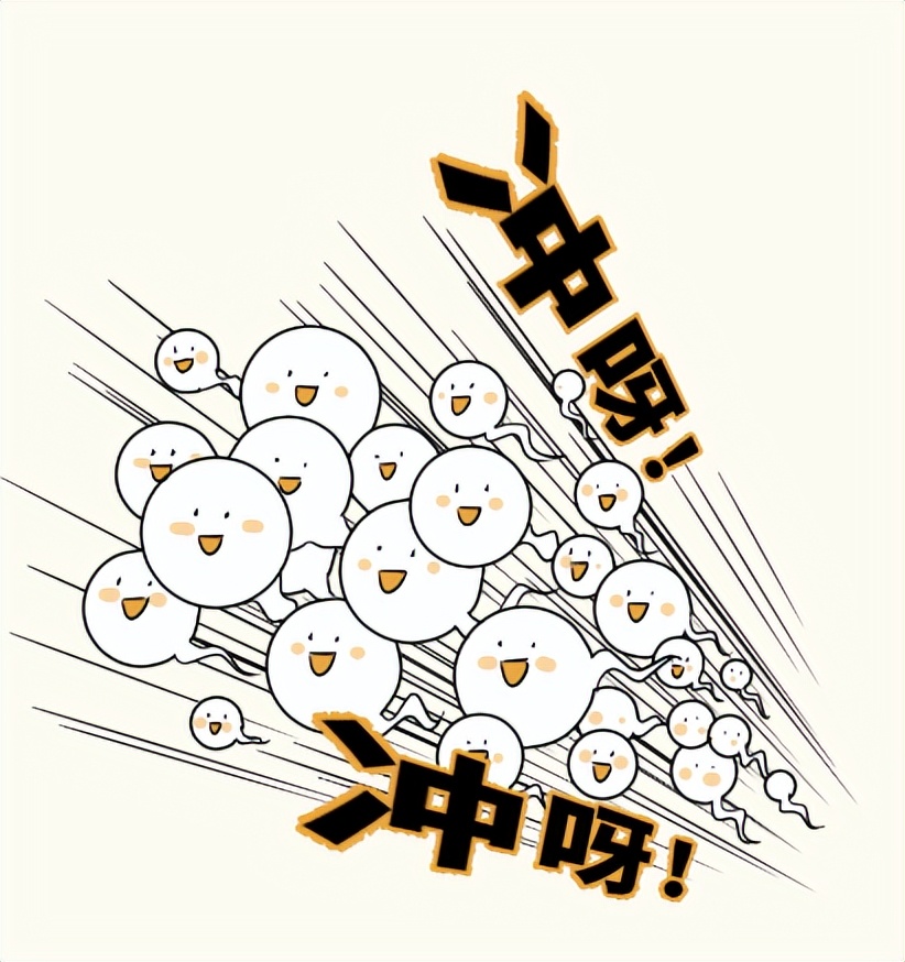 情人节安全套,情人节冷知识100例