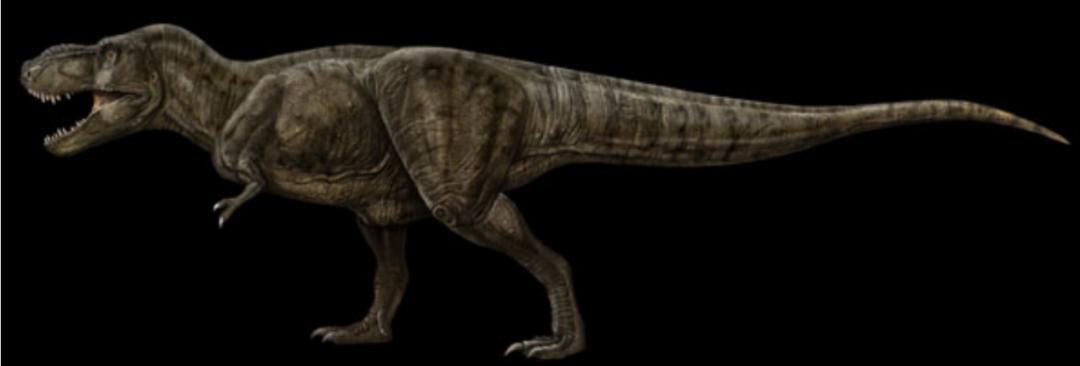 中国十大恐龙图鉴,100种恐龙名字图鉴图文