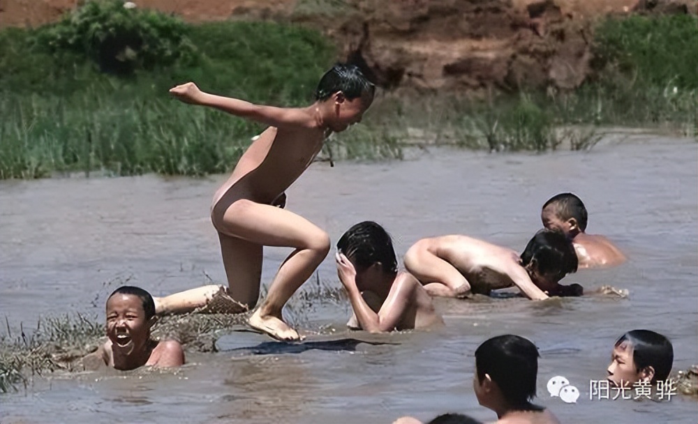 沧州东乡记忆——故乡的水塘