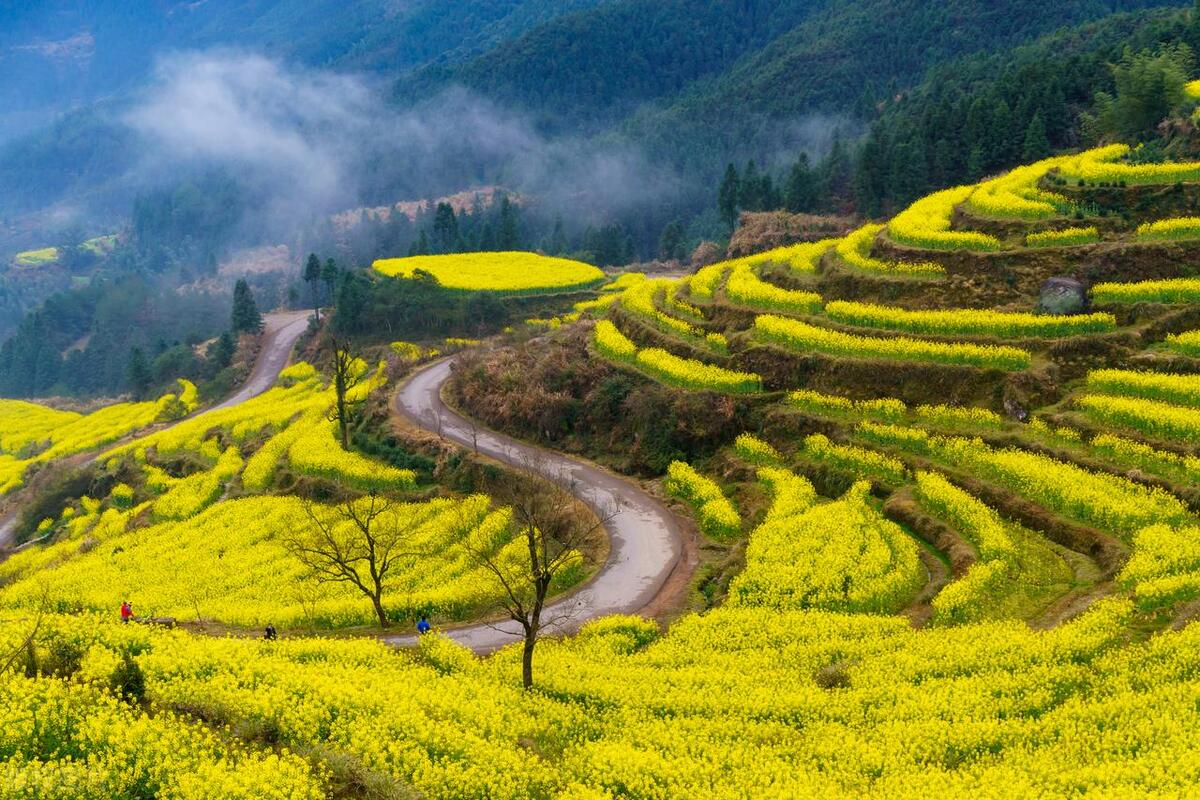 云南十大最美县城,中国最美的十大县城婺源