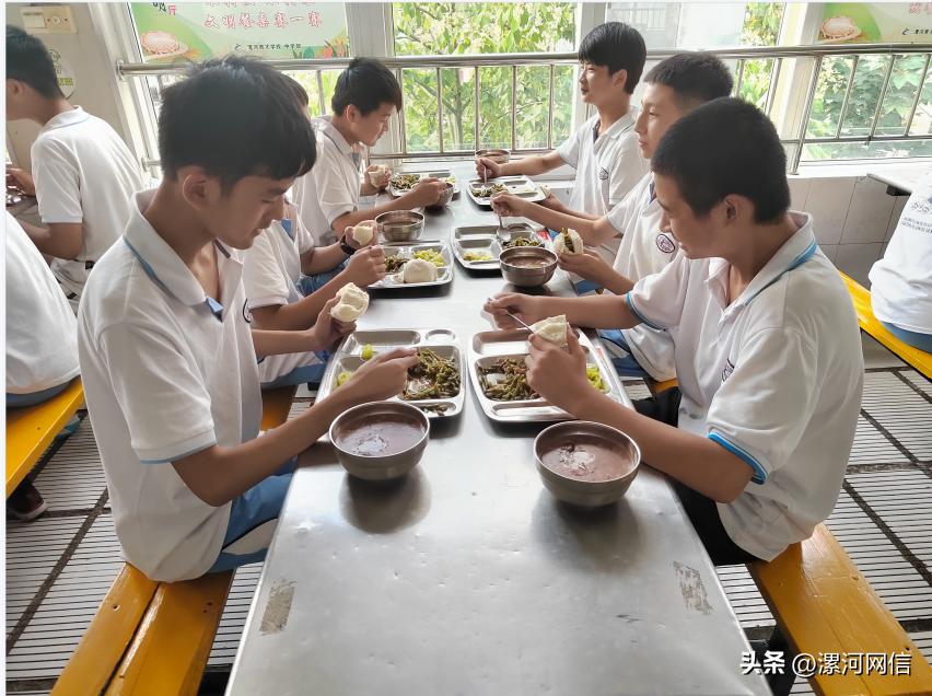 漯河最新教育局通知,漯河一学校最新通知