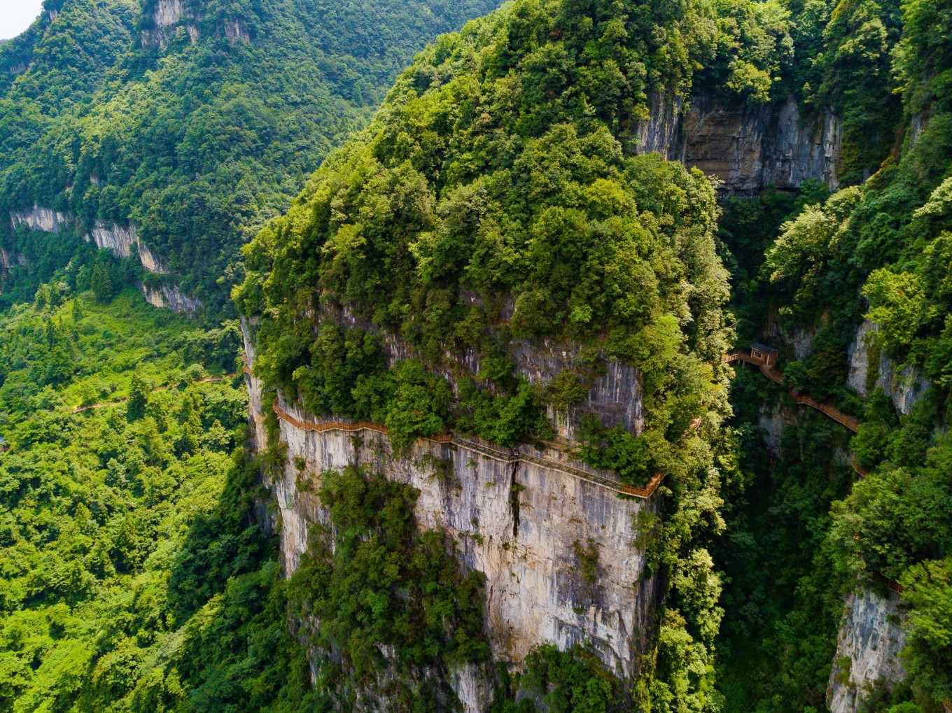 毕节油杉河景区,贵州夏季的避暑景点