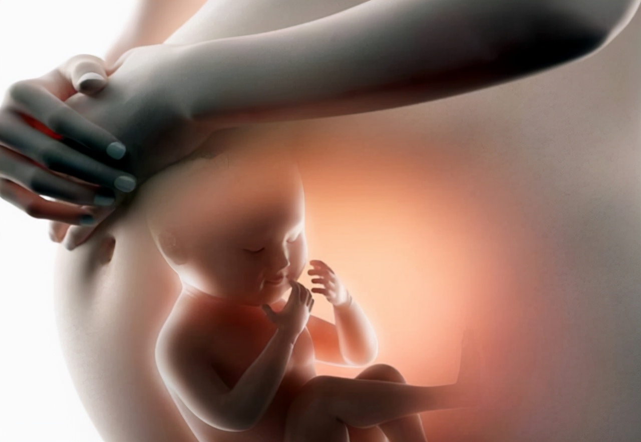 “人工受精”跟“人工授精”，仅有一字之差，二者的差异却不小