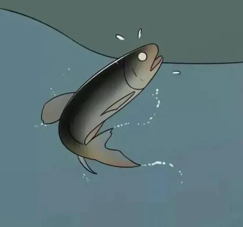 古人是如何做到避孕的呢,古人是怎么样避孕的