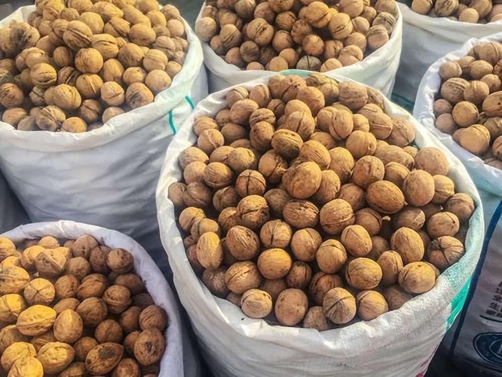 新疆瓜果为什么又甜又香,新疆种植的瓜果味道为什么特别甜