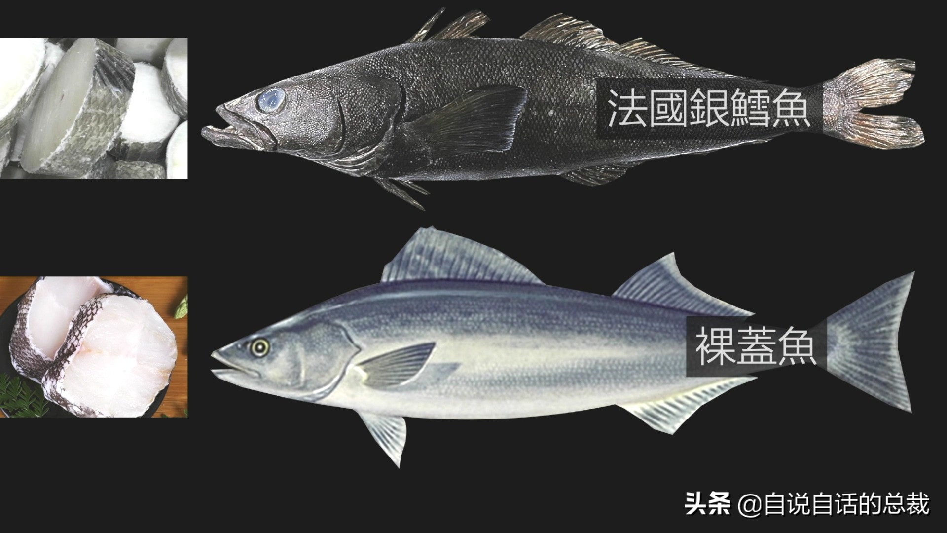 为什么鳕鱼卖的那么便宜,为什么我们吃到的鳕鱼都是假的