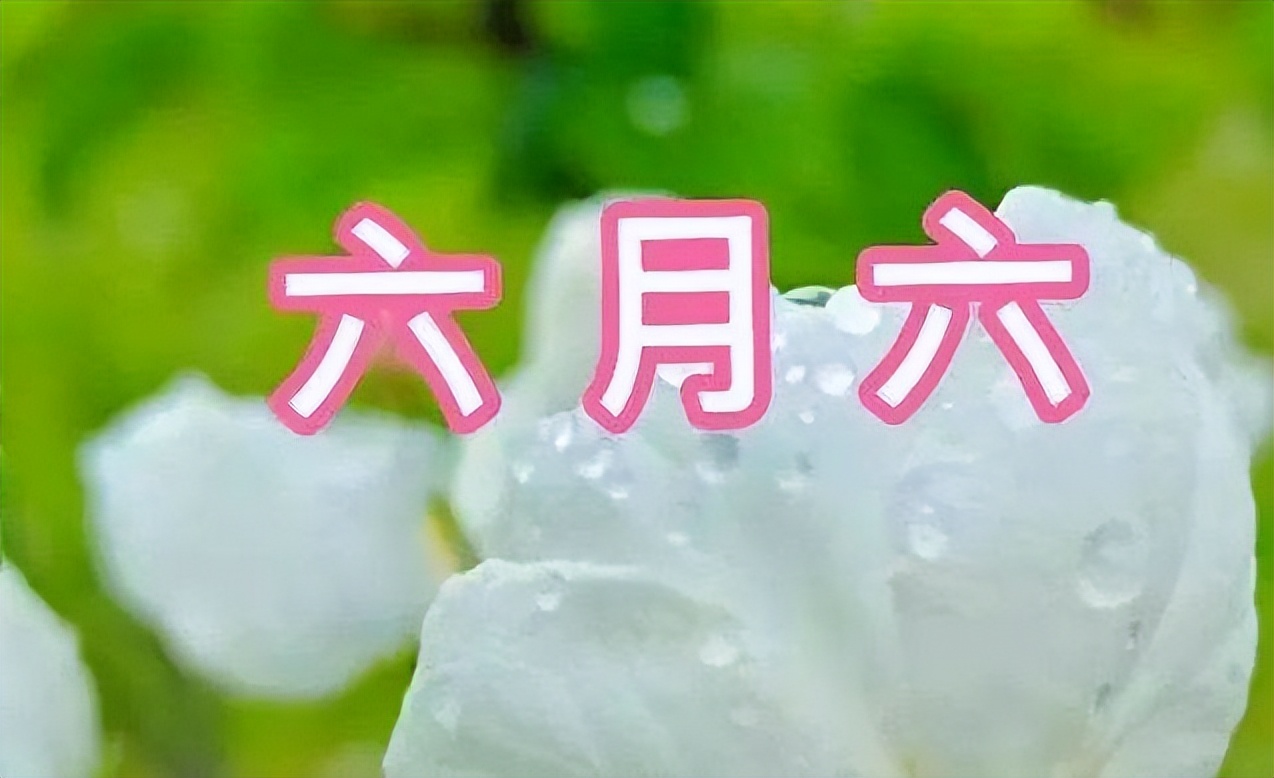 “六月初六吃馄饨，日子平顺添财宝”，馄饨到底怎样做才好吃？