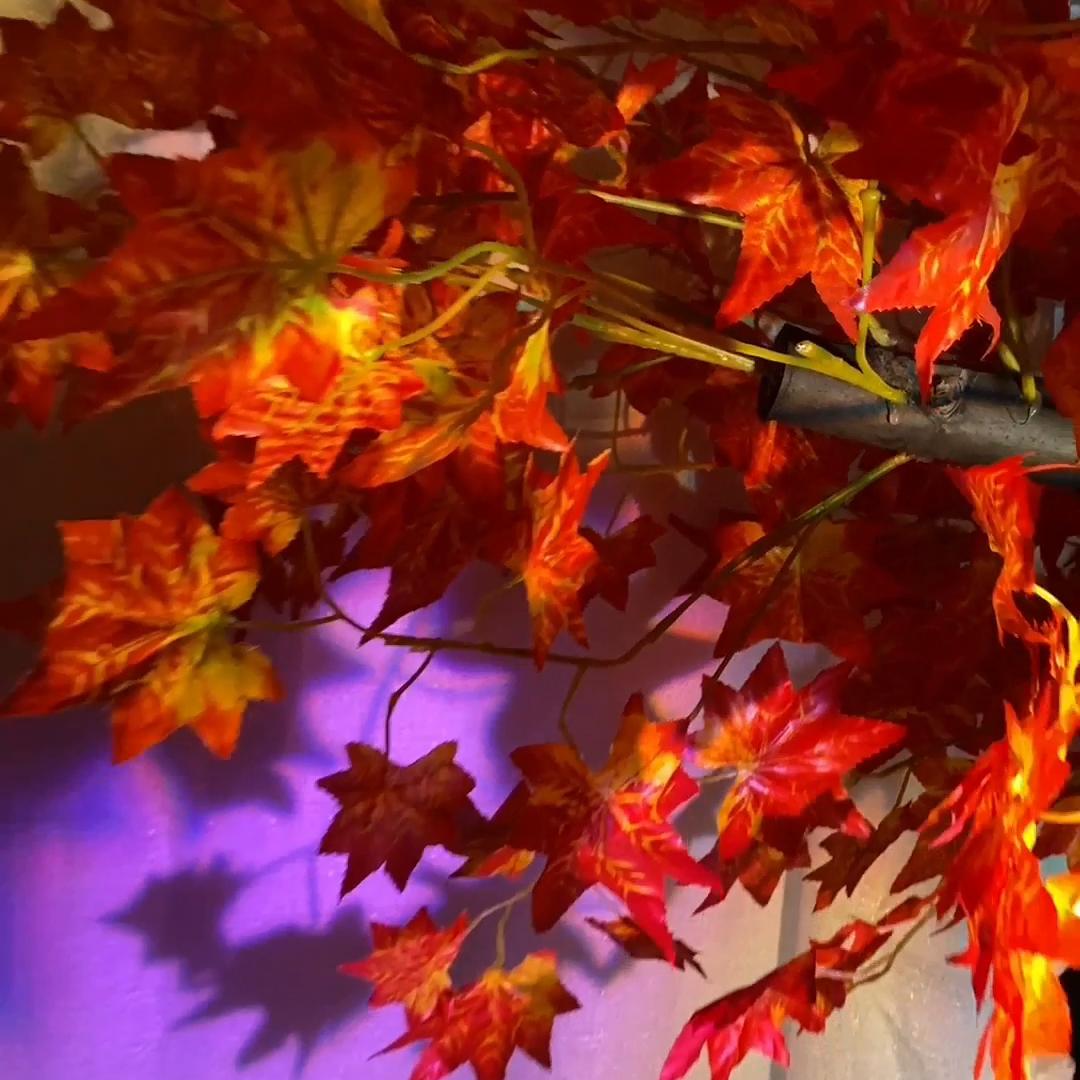 自拍照相馆商业模式,智能照相馆加盟