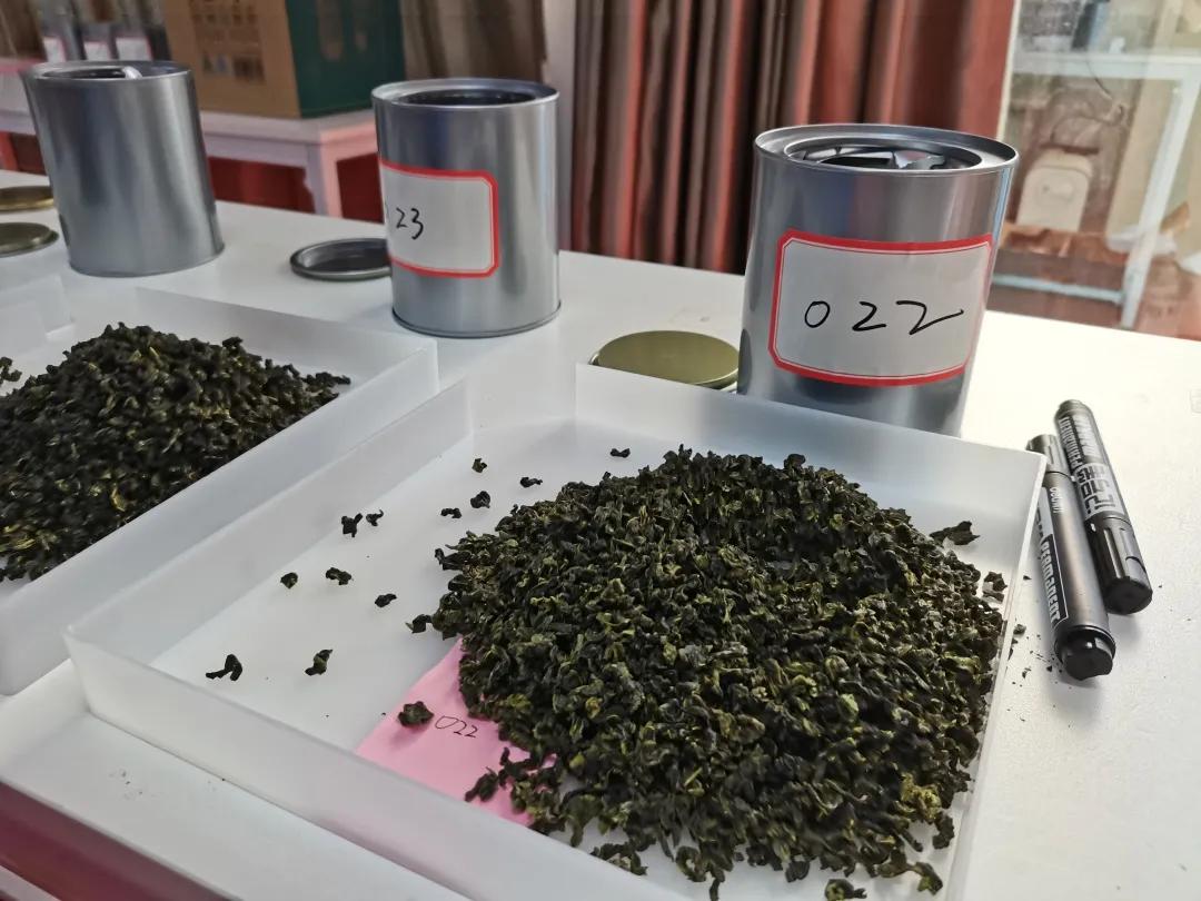 厦门安溪商会茶王赛现场直播,安溪铁观音秋季茶王赛获奖名单