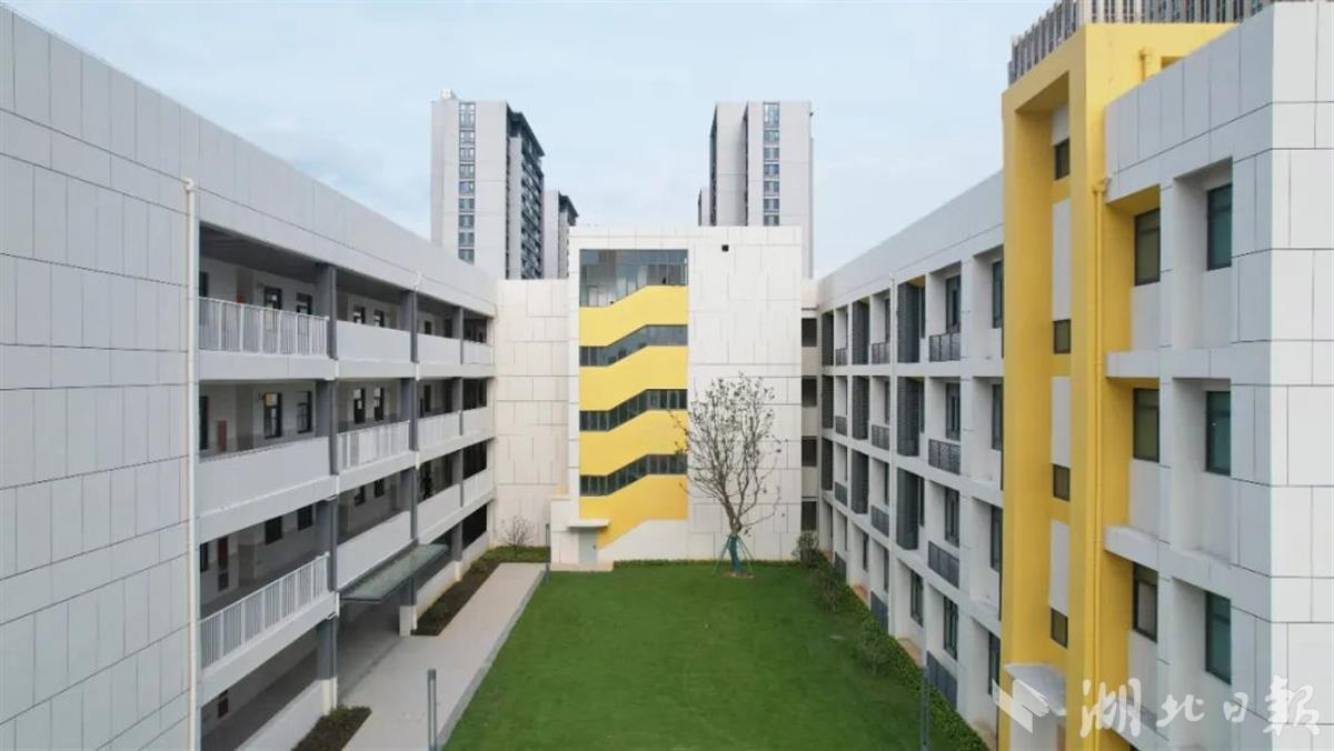 光谷“上新”4所中小学,光谷新建小学规划