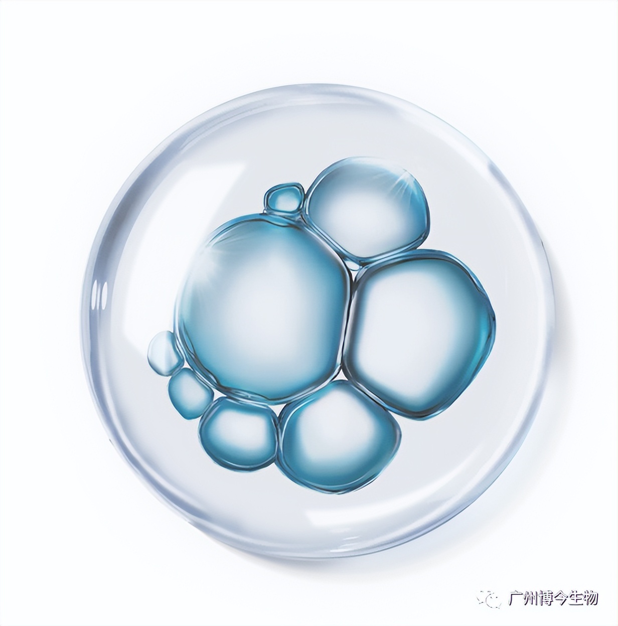 大数据请把这篇文章推给有“黑头”烦恼的人