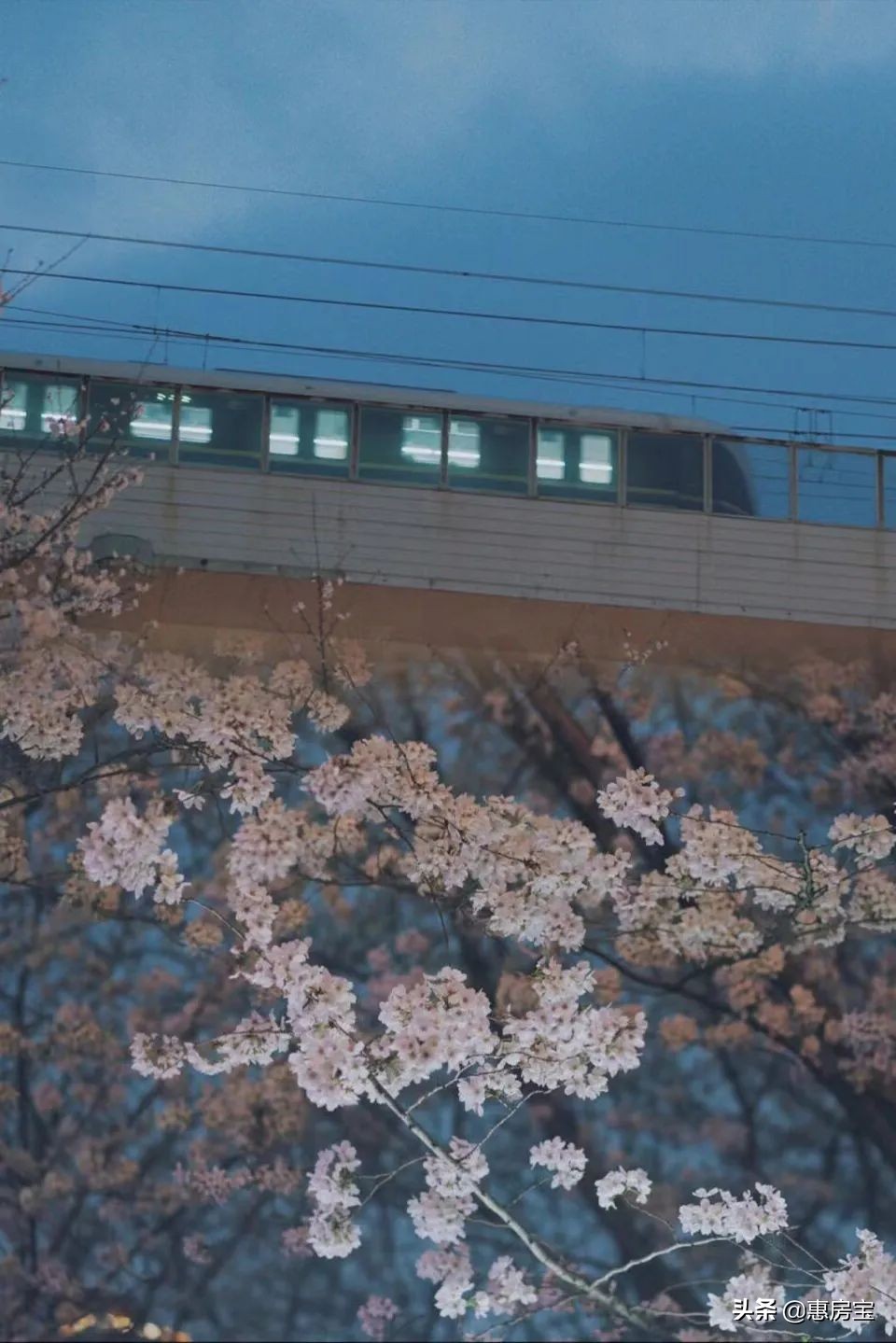 上海公园免费,上海免费公园排行