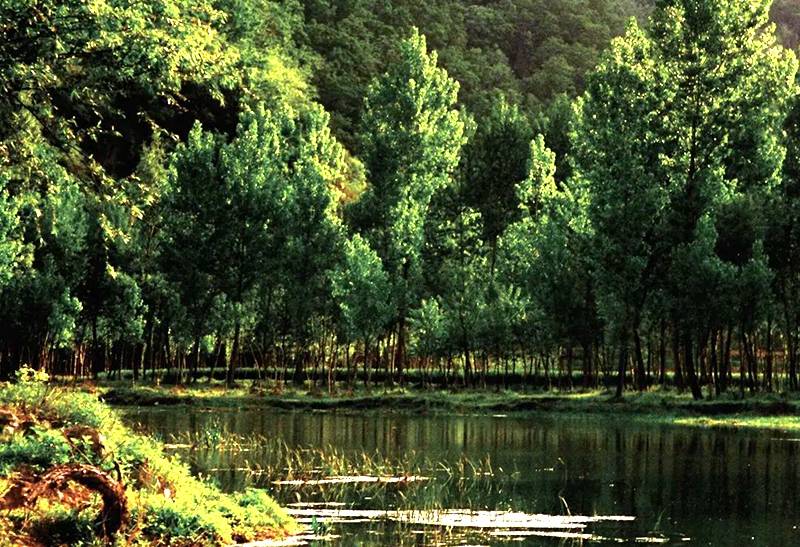 5.19中国旅游日|中华喜城宰相故里——山西·闻喜