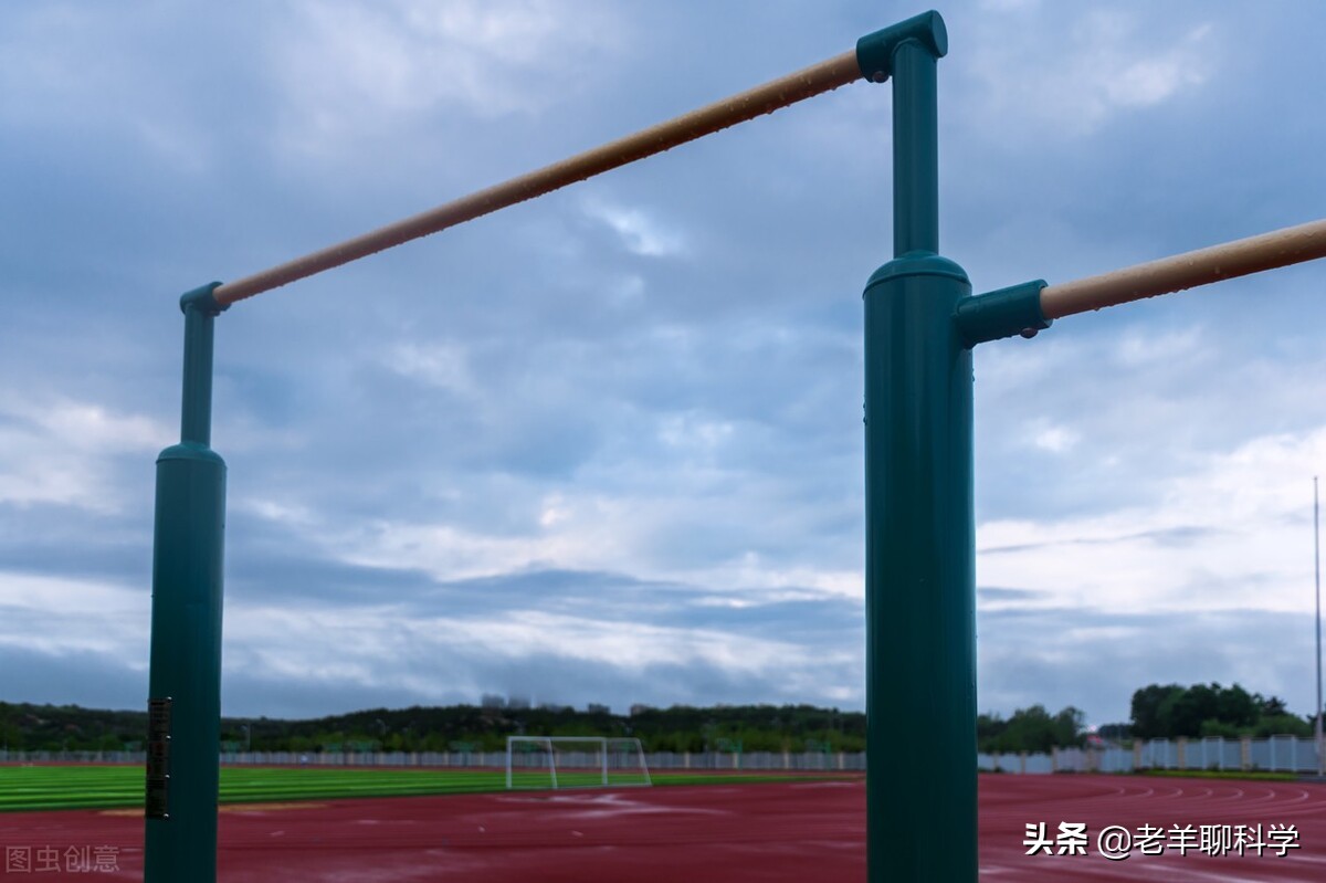 老鼠会报复猫吗,老鼠攻击猫真实原因