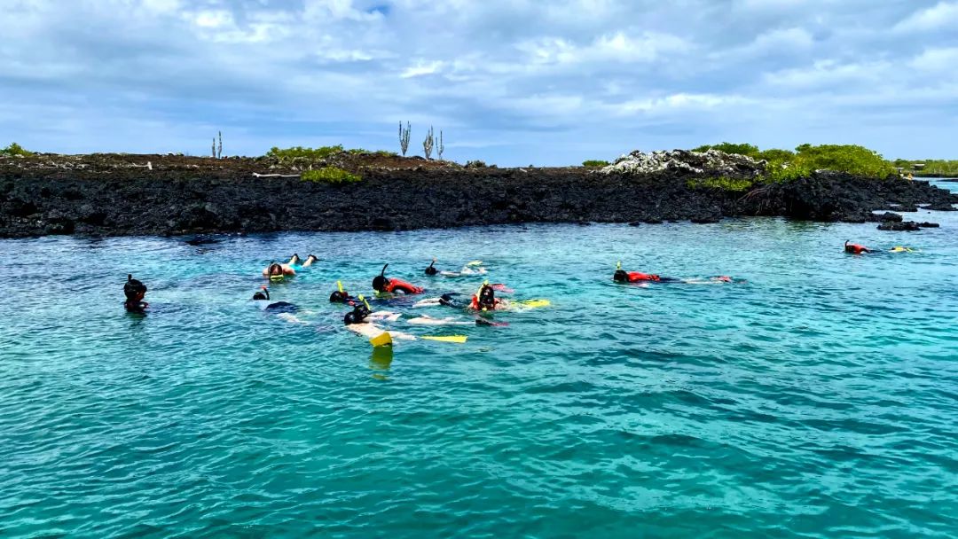 去神秘小岛探险,去神秘岛探险视频