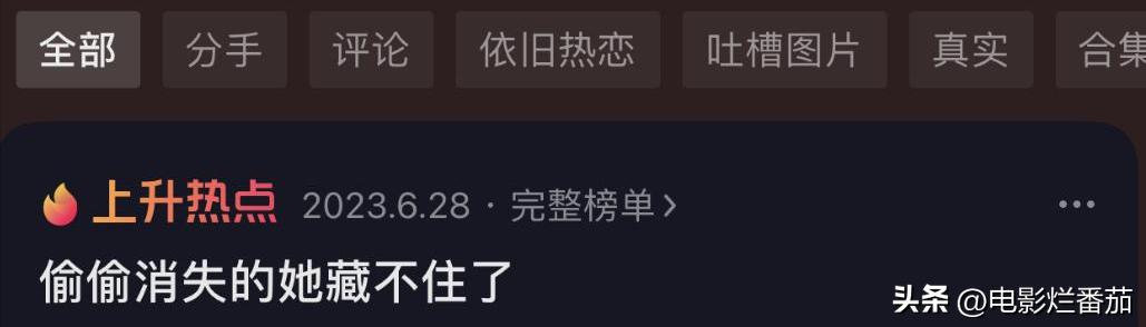 陈思诚新片解密,陈思诚新电影消失的她原主