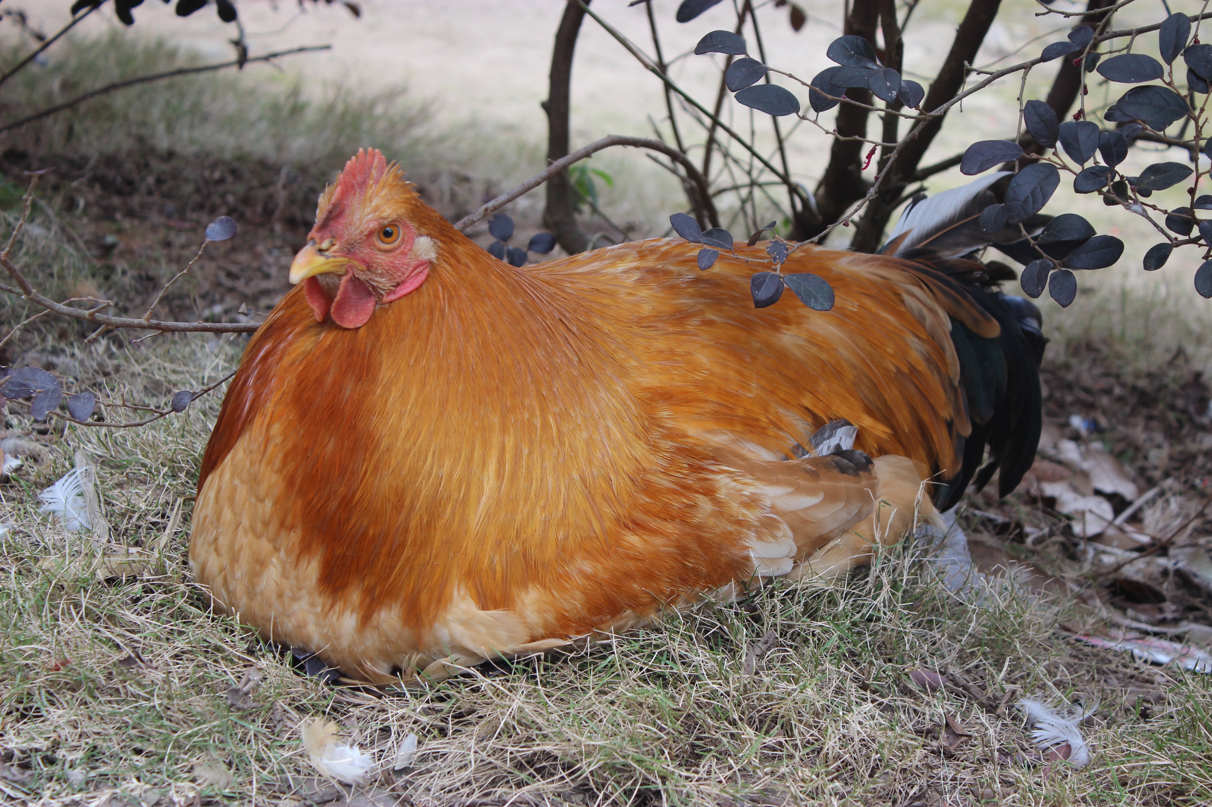 赣州周末出游攻略,春节赣州出发2-3天短途旅游