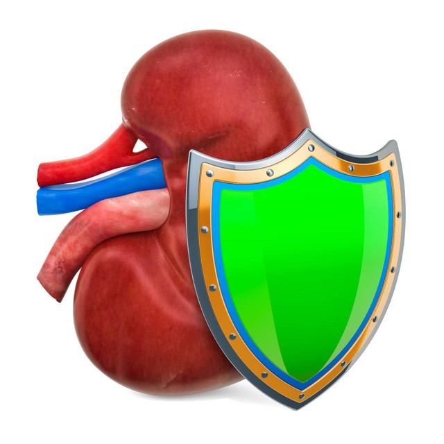 为什么得肾盂肾炎,女性肾盂肾炎是什么引起的