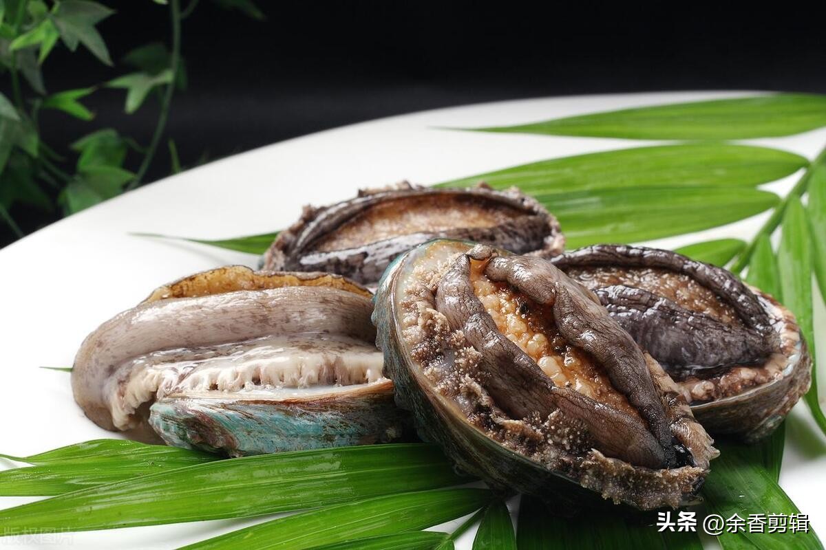 活鲍鱼死了该怎么处理,怎样处理鲍鱼才干净