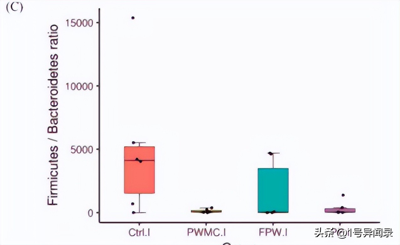 揭示用紫菇废菌堆肥产物作为补充剂对肉鸡肠道微生物、抗炎的影响