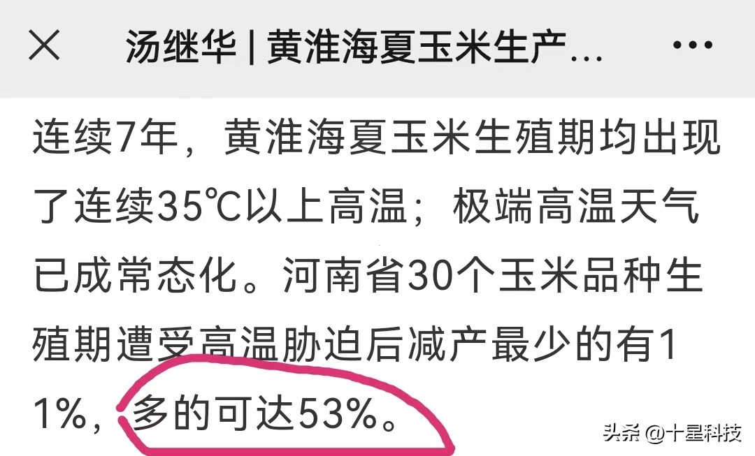 郑单958玉米新品种特征及表现,郑单958玉米品种是哪里培育的