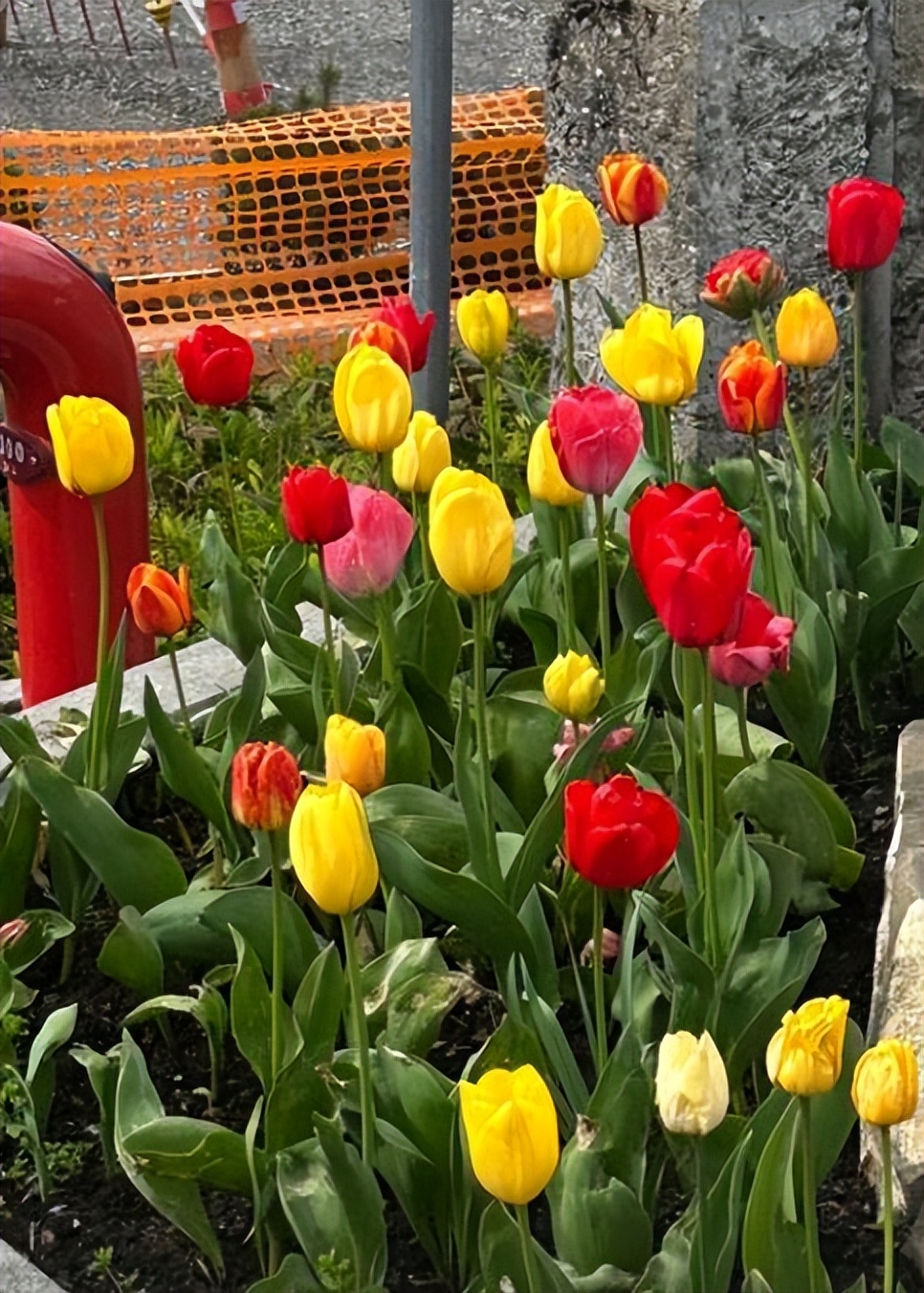 李嫣和闺蜜一起逛街,李嫣跟闺蜜逛街