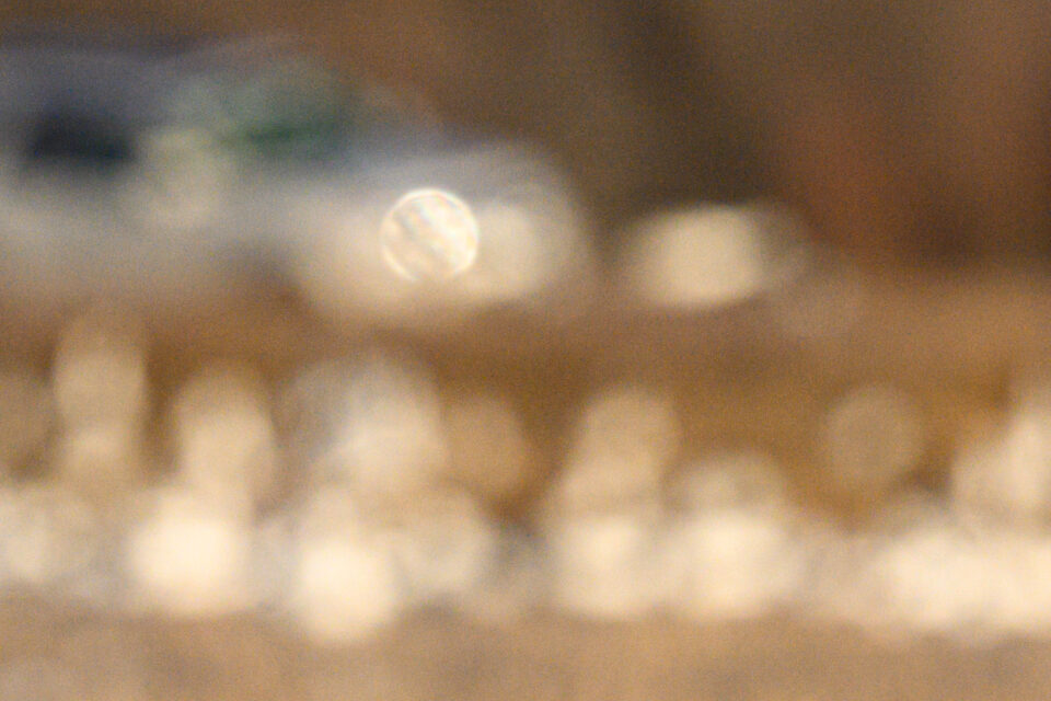 尼康Z800mmf/6.3VRS镜头深度评测