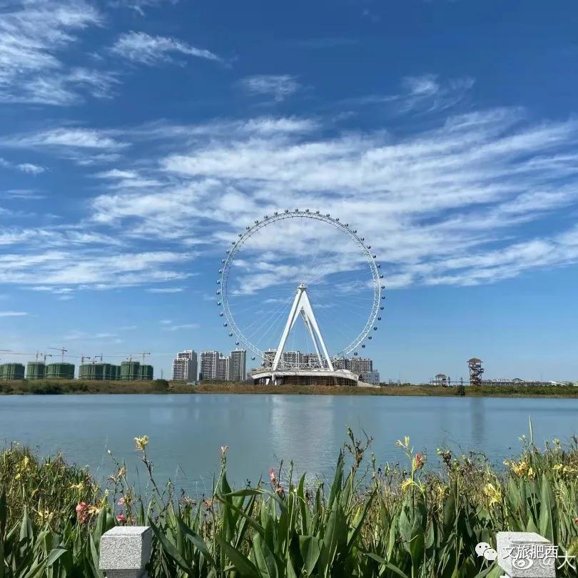 原来，在社交平台中，肥西的真实风景是这样的
