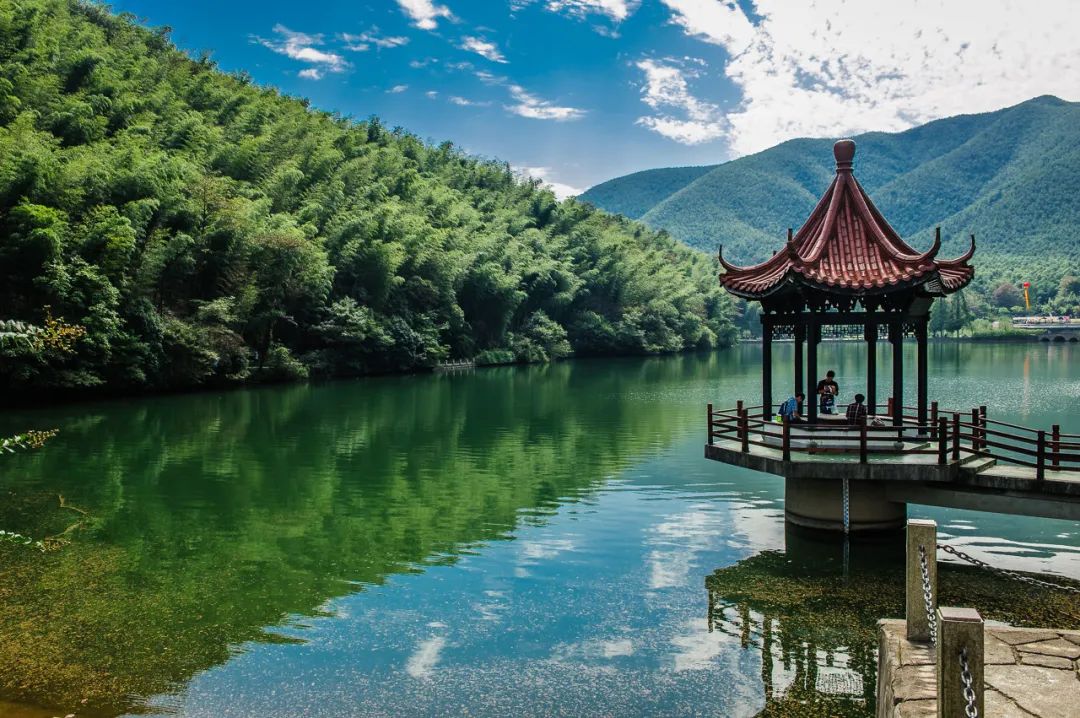 我去竹林避暑了，夏天过完再通知我！