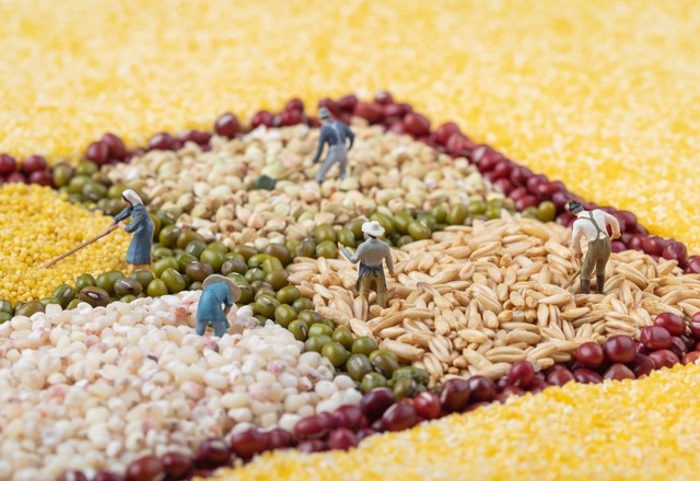 五谷杂粮种类越多越好吗,粗杂粮和杂粮有什么区别