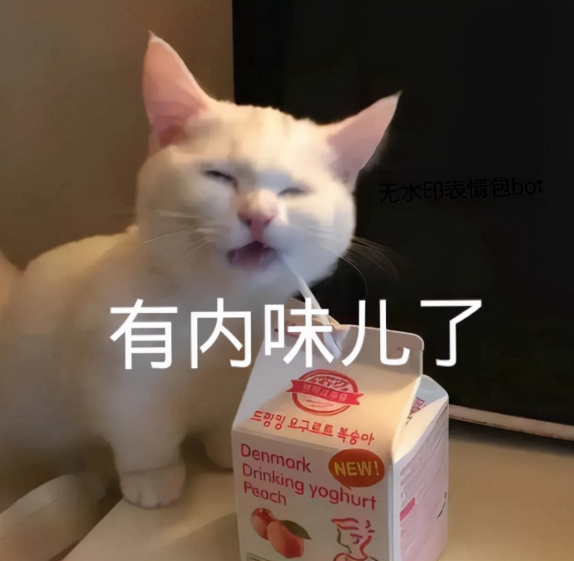 快乐大本营20年后,改版快乐大本营还是原先几个人吗