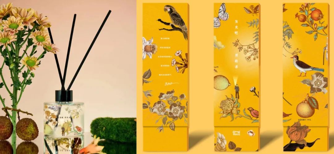 吴晓波女儿叫啥,吴晓波女儿婚礼