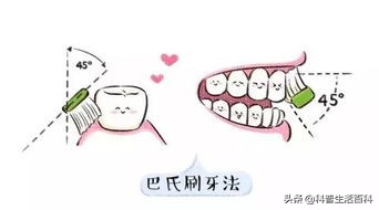 如何正确的刷牙,如何才能正确刷牙