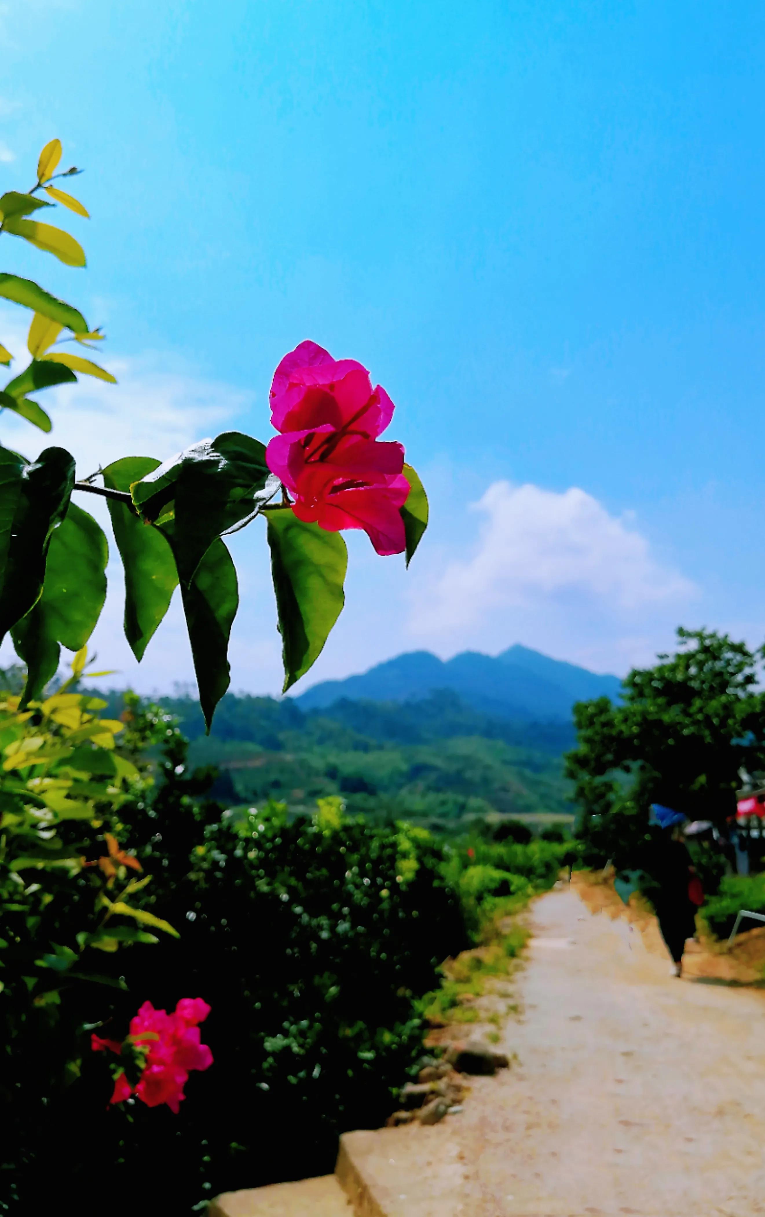 短篇小说风筝视频,短篇小说一只风筝